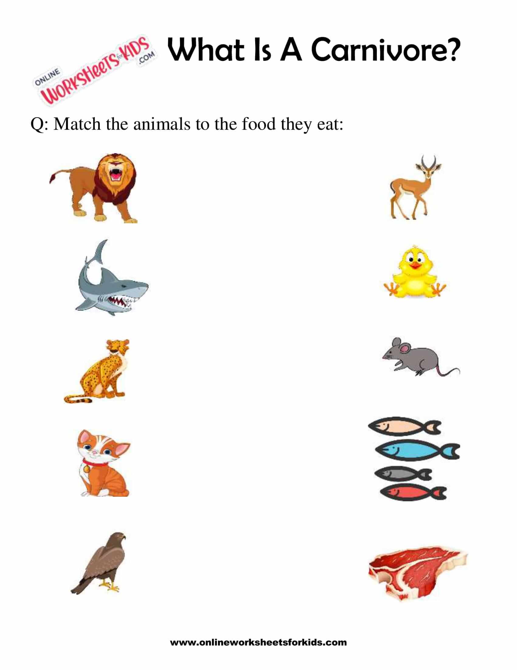 Free What Is A Carnivore Worksheets for Grade 1