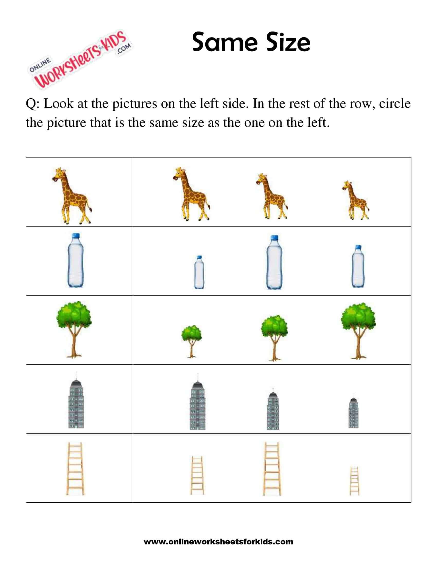 Circle The Picture Which Is The Same Size 2
