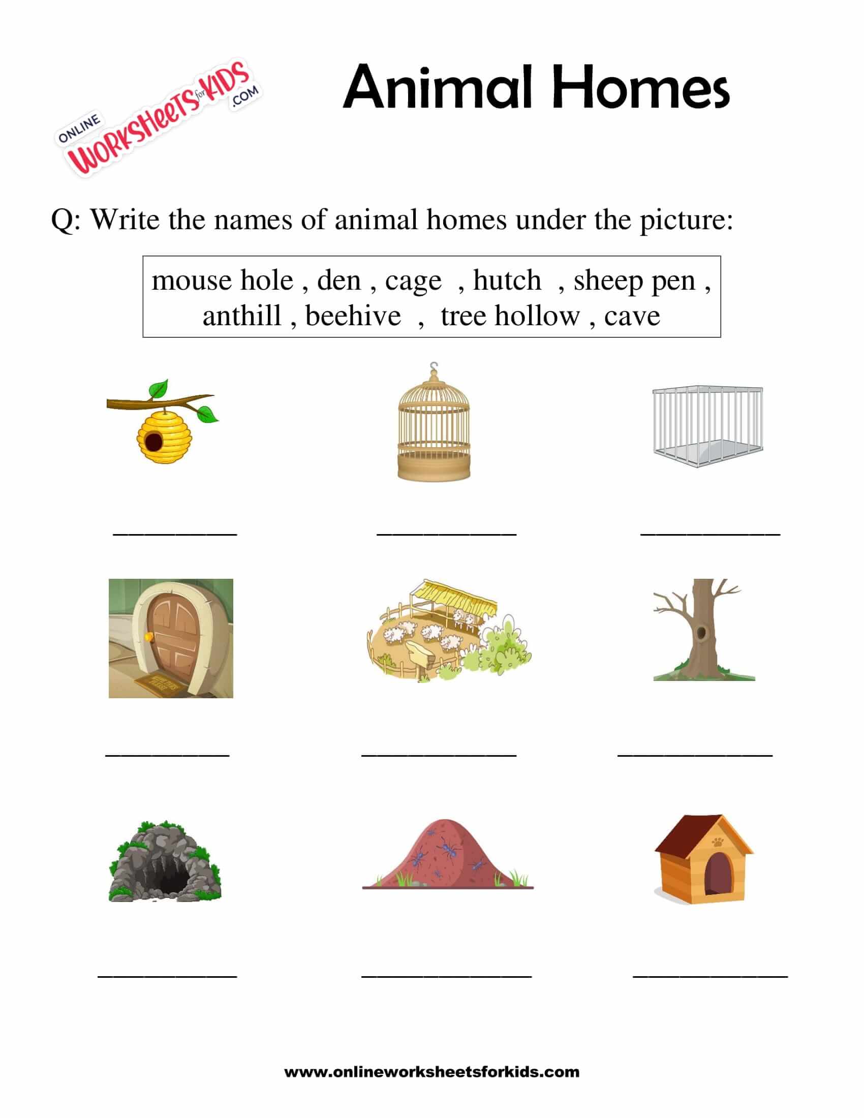 Animal Homes Worksheet for Grade 1-6