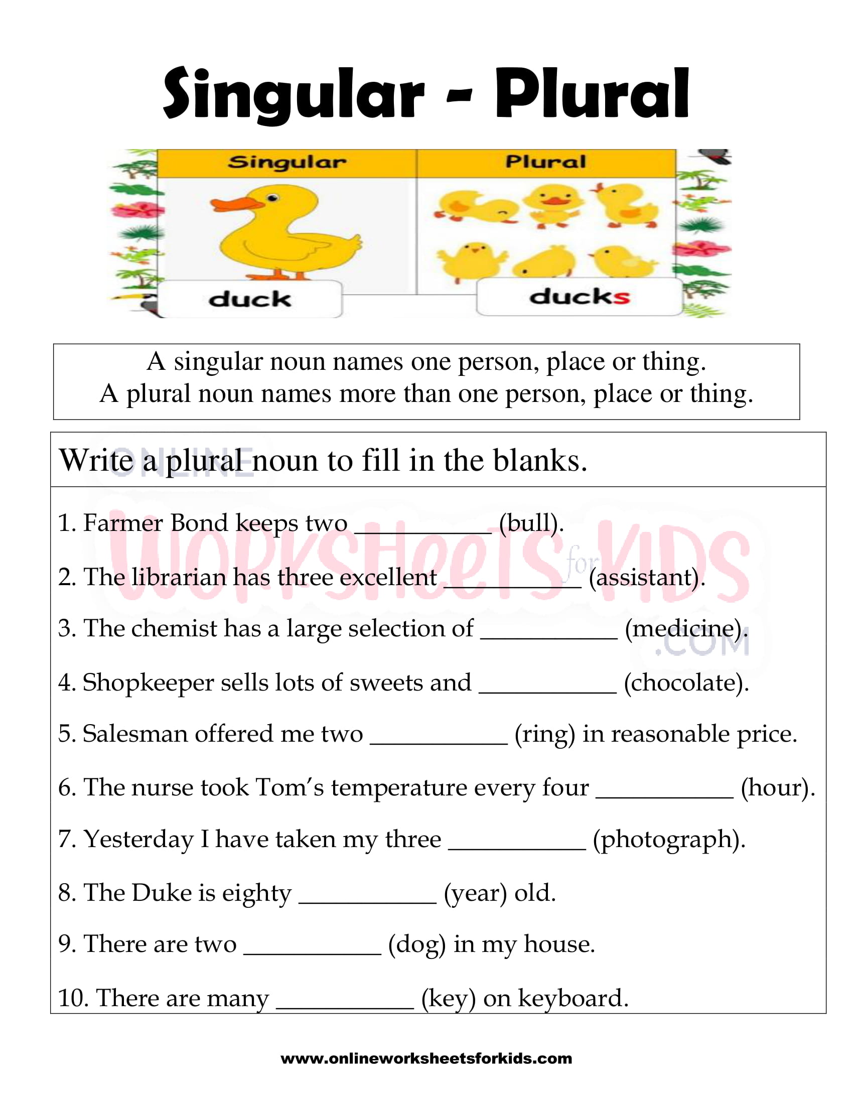 singular-and-plural-nouns-fb-worksheet-7