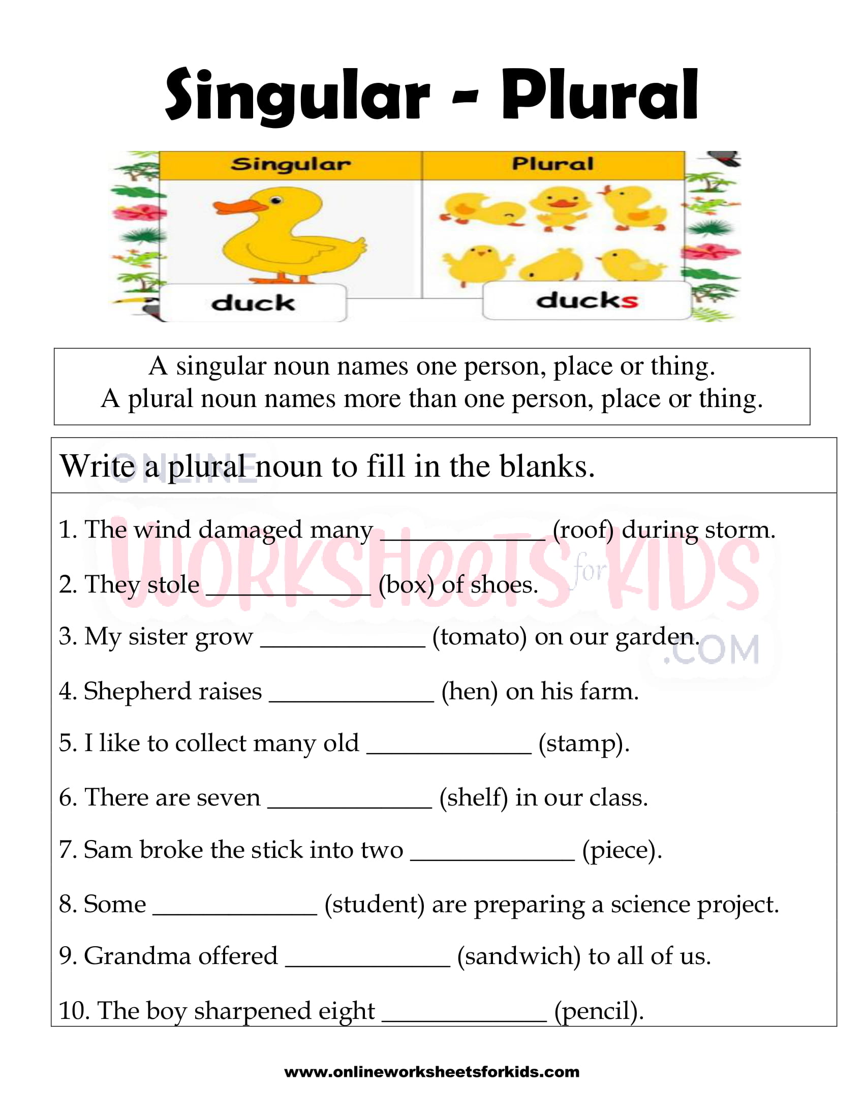 Worksheet On Singular And Plural Nouns For Class 3