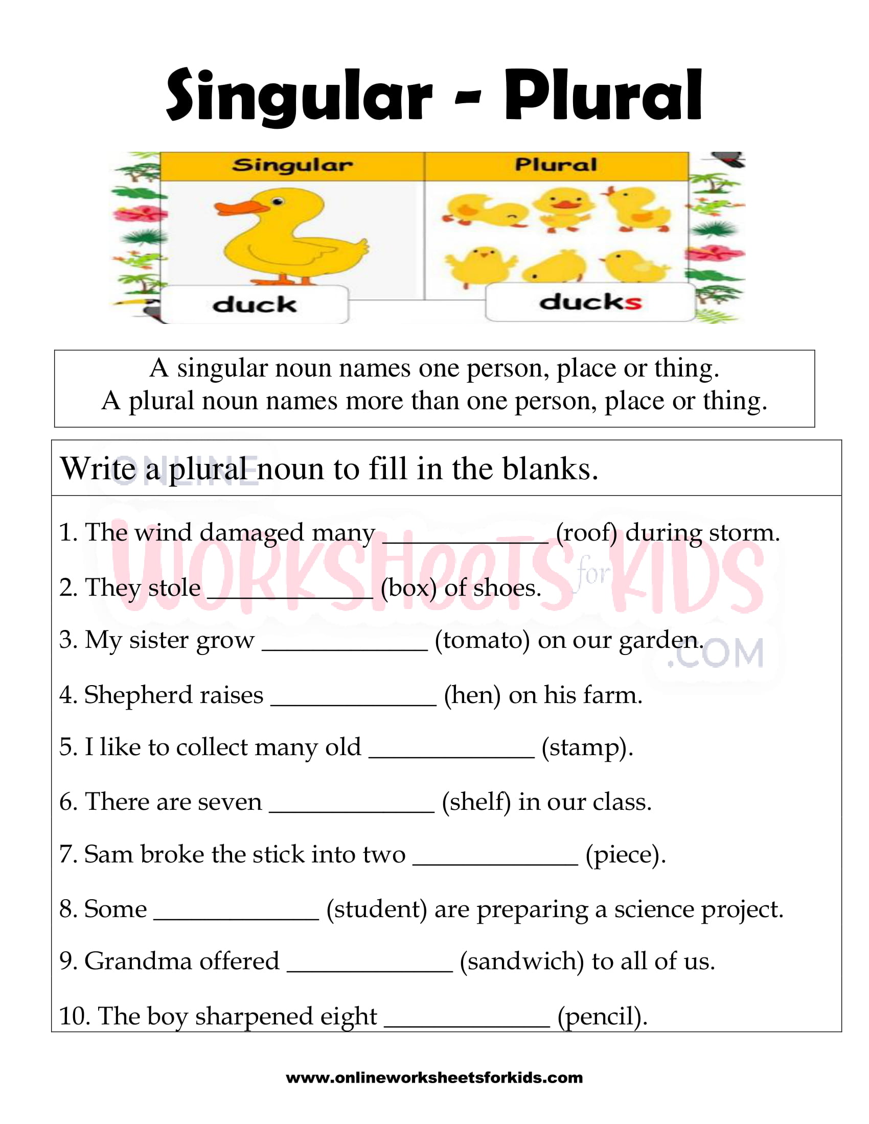 Singular And Plural Nouns Quiz For Grade 2